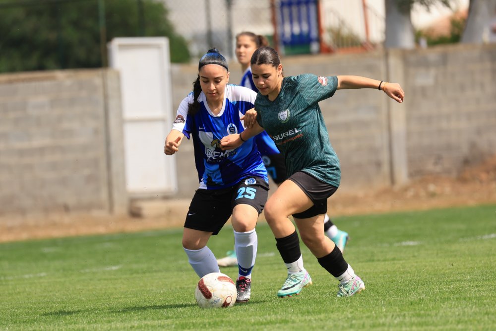 Kadınlar Ligi için başvurular başladı